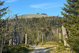Ihre Gastgeber im Bayerischen Wald